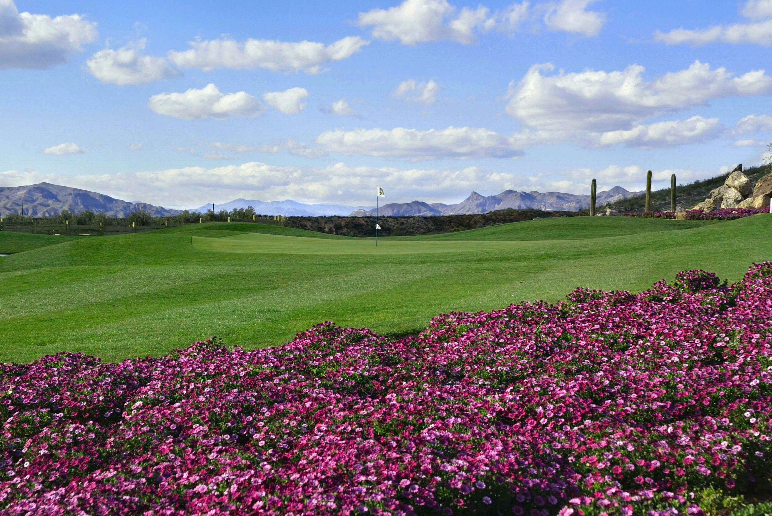 Desert Springs golf course
